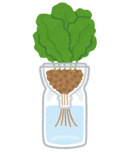 plant_petbottle_suikou_saibai